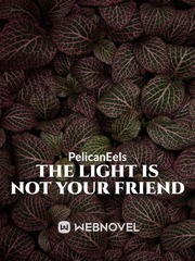 The Light is Not Your Friend Book