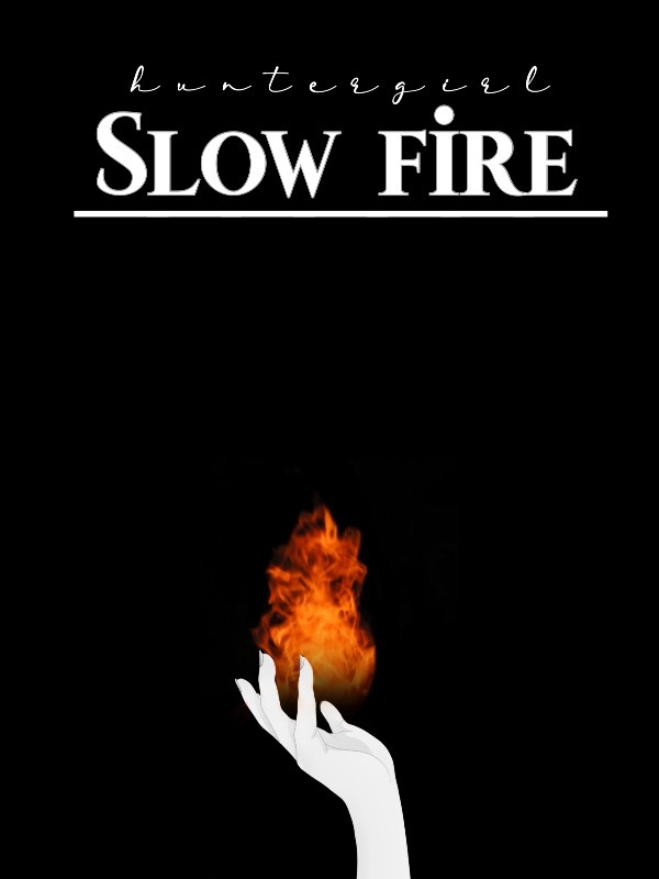 Slow fire Book