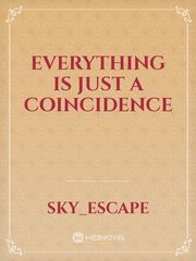 Everything Is Just A Coincidence Book