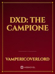 DxD: The Campione Book