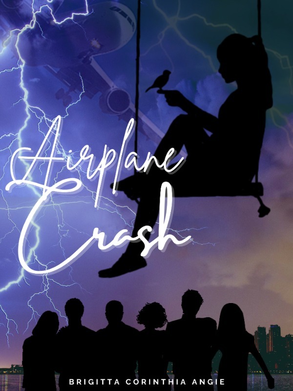 Airplane Crash Book