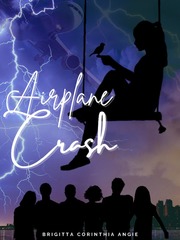 Airplane Crash Book
