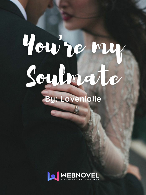 You're My Soulmate Book