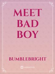 Meet Bad Boy Book