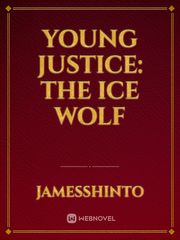Young Justice: The Ice Wolf Book
