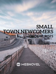Small town newcomers Book