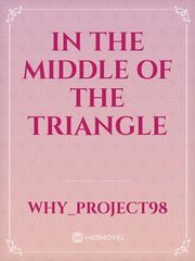 In the Middle of the Triangle Book