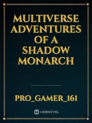 Multiverse Adventures Of A Shadow Monarch Book