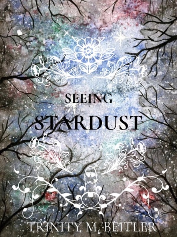 Seeing Stardust Chasing Stardust Book 1