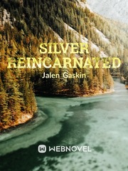 Silver Reincarnated Book