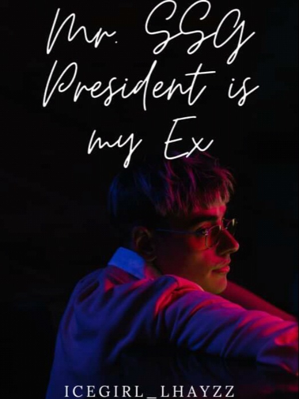 Mr.SSG President Is My Ex Book