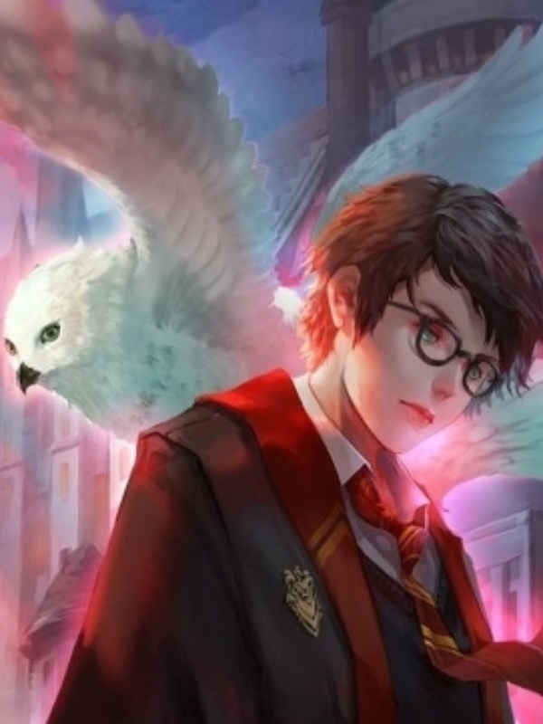 My life as Harry Potter