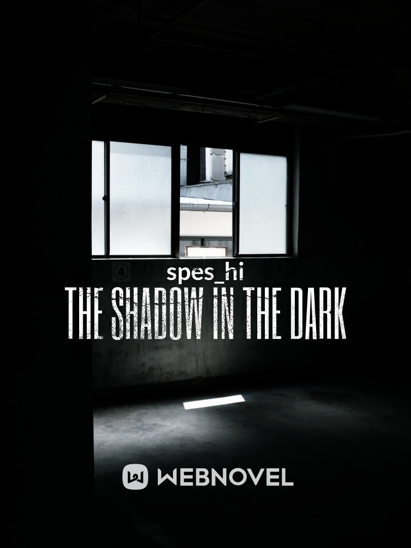The shadow in the dark