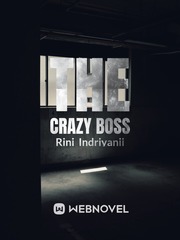 The Crazy Boss Book