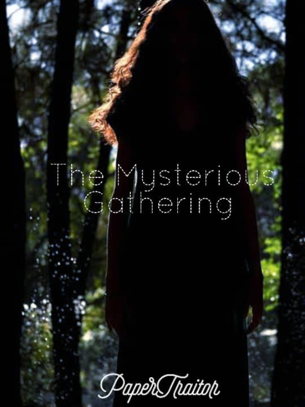 The Mysterious Gathering (Book I) Book