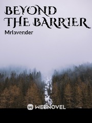 BEYOND THE BARRIER Book