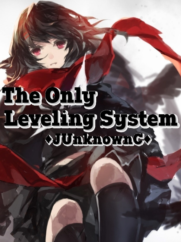 The Only Leveling System Book