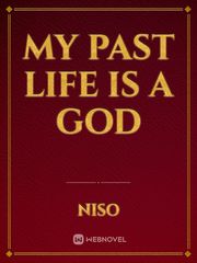 My Past Life is a God Book