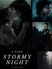 A Dark Stormy Night Book