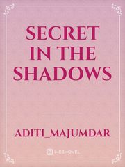 Secret in the Shadows Book