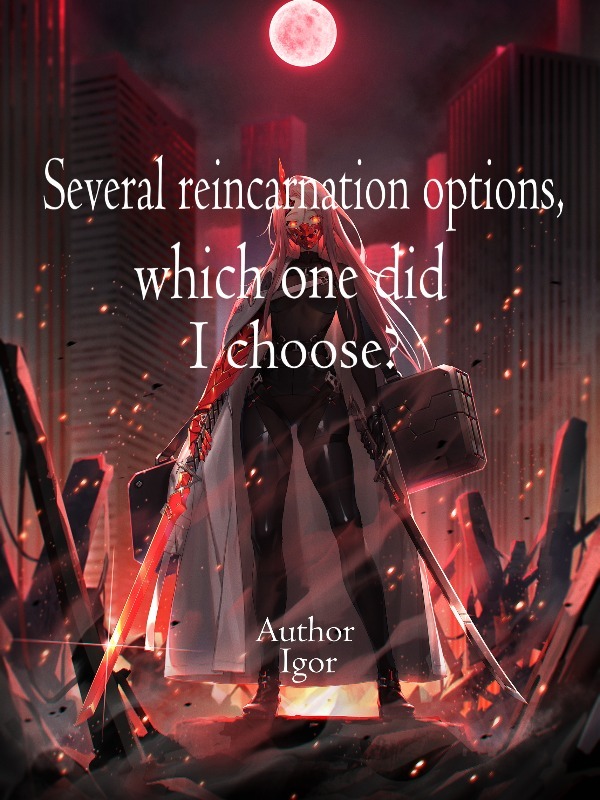 Several reincarnation options, which one did I choose? Book