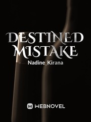 Destined Mistake Book