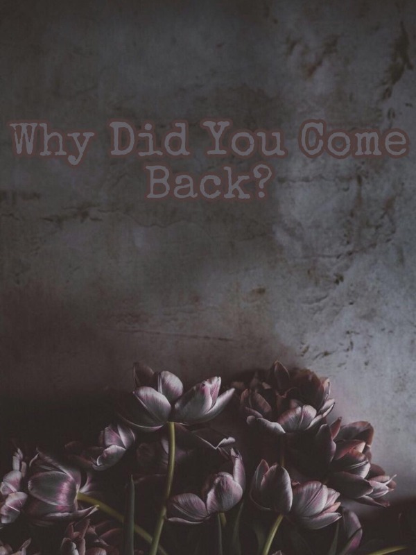 Why Did You Come Back? Book