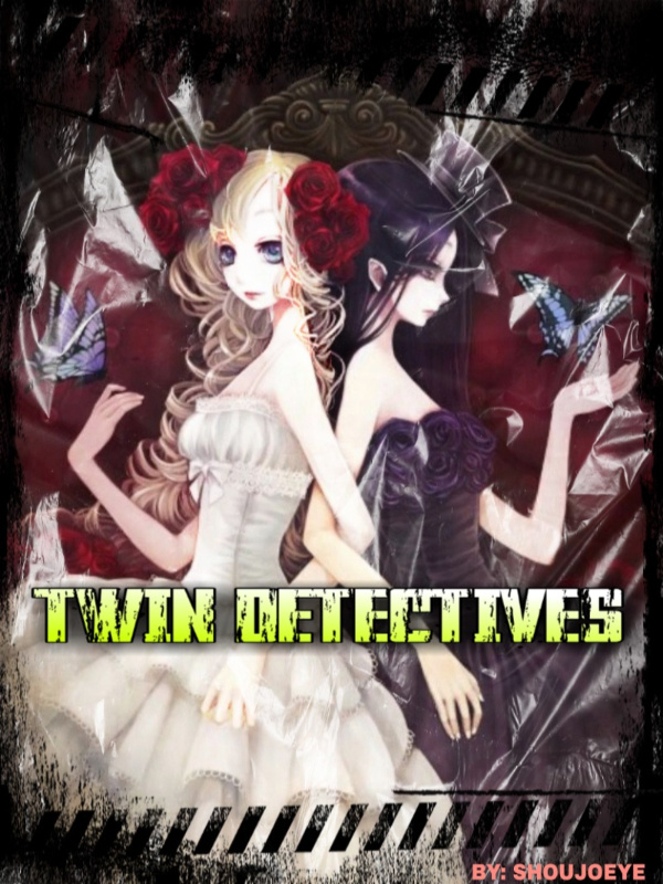 Twin Detectives Book