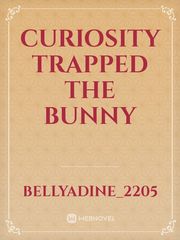curiosity trapped the Bunny Book