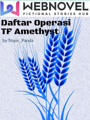 Daftar Operasi TF Amethyst Book