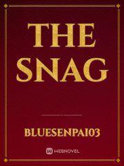 The Snag Book