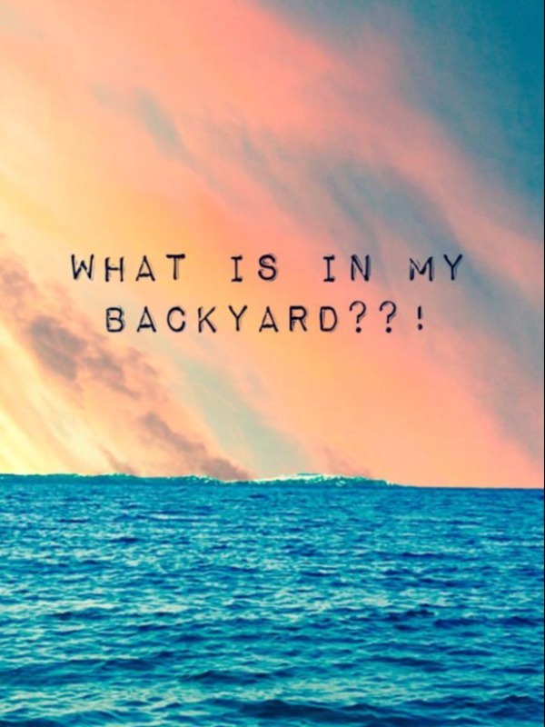 What Is In My Backyard?! [BL]