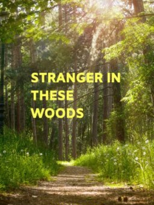 Stranger in these woods Book