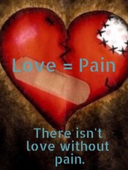 Love = Pain Book