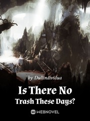 Is There No Trash These Days? Book