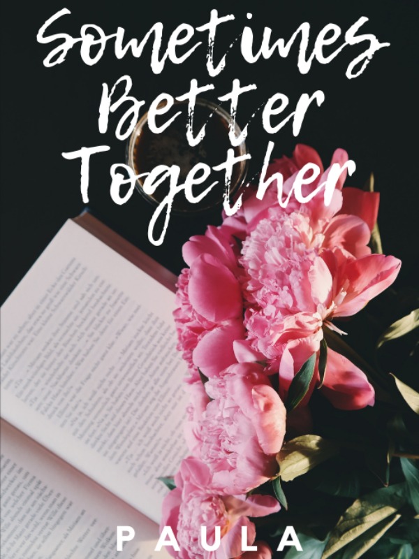 Sometimes Better Together Book
