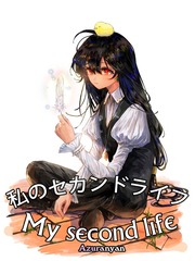 My 2nd Life Book