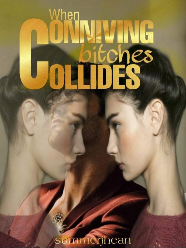 When Conniving B**ches Collide Book