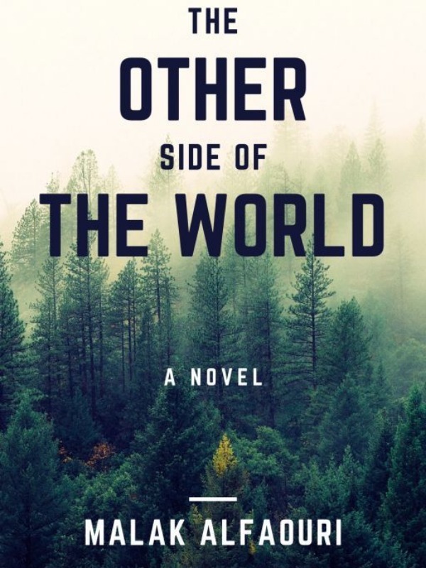 the other side of the world Book