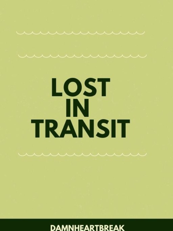 Lost in Transit Book