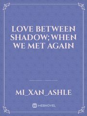 LOVE between SHADOW;When we met again Book