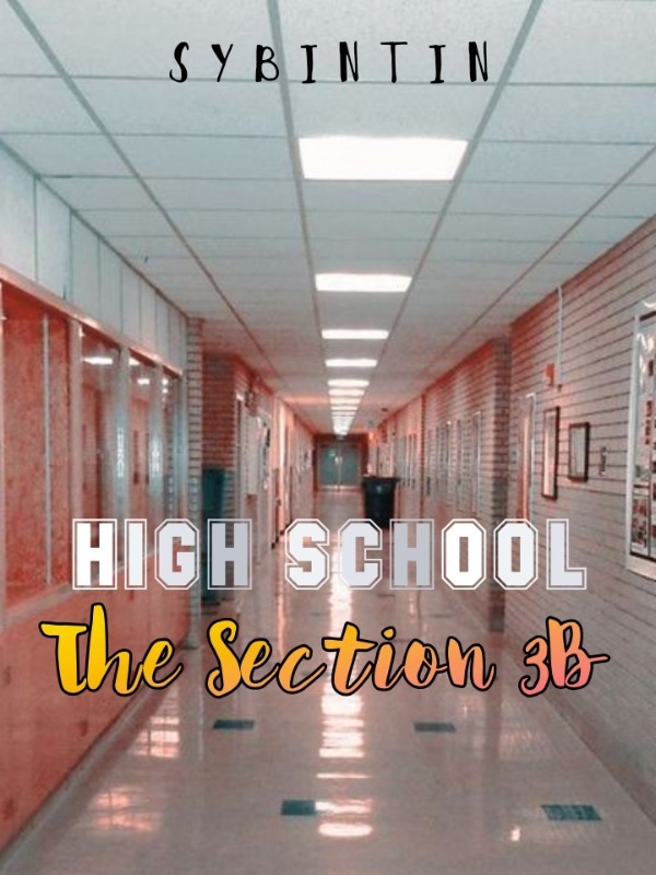 HIGH SCHOOL: THE SECTION 3B Book