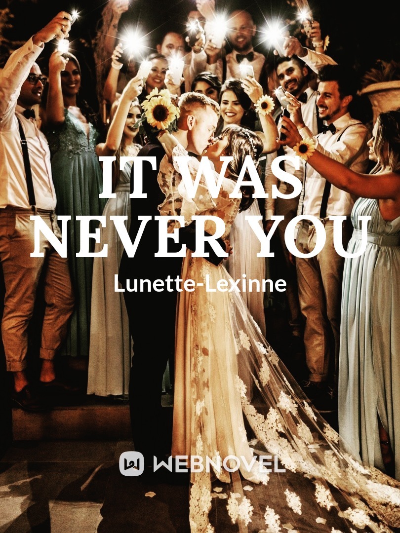 IT WAS NEVER YOU Book