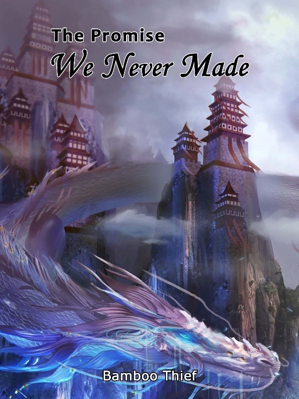 The Promise We Never Made (English) Book