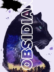 Obsidian(The guardian) Book