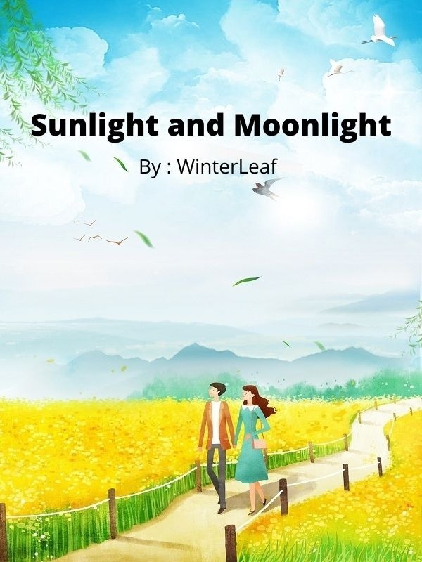 Sunlight and Moonlight Book