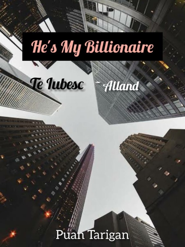 He's My Billionaire (Te Iubesc) Book