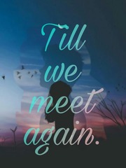 Till we meet again. Book