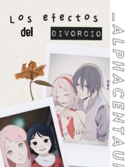 Los Efectos del Divorcio. || 離婚の影響 Book