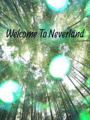 Welcome to Neverland Book